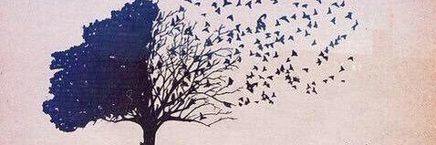 AMalik5's profile banner image