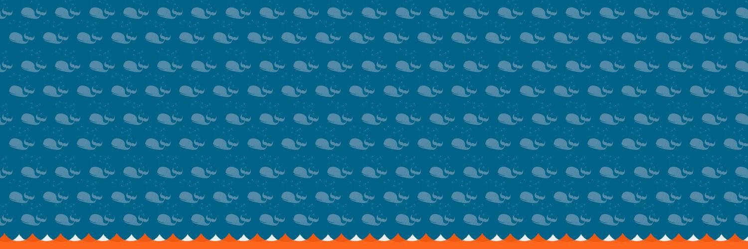 roneisjc's profile banner image