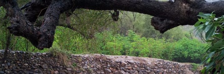 aalyafei's profile banner image