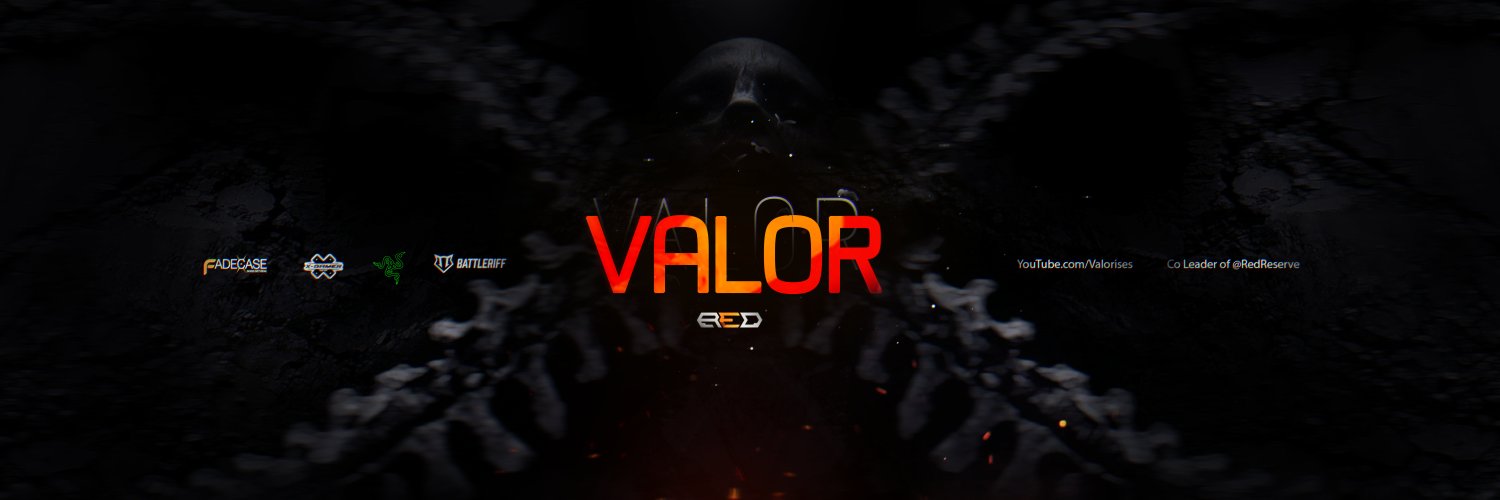 Valor banner