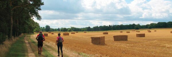 munsteriron Profile Banner