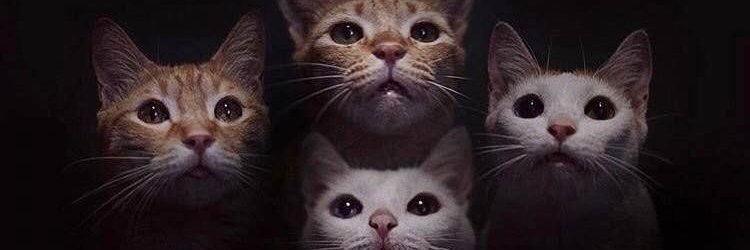 plestol's profile banner image