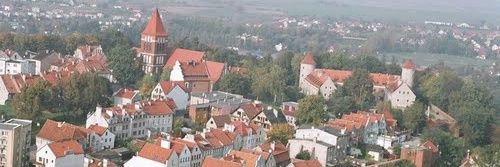 wojzyl's profile banner image