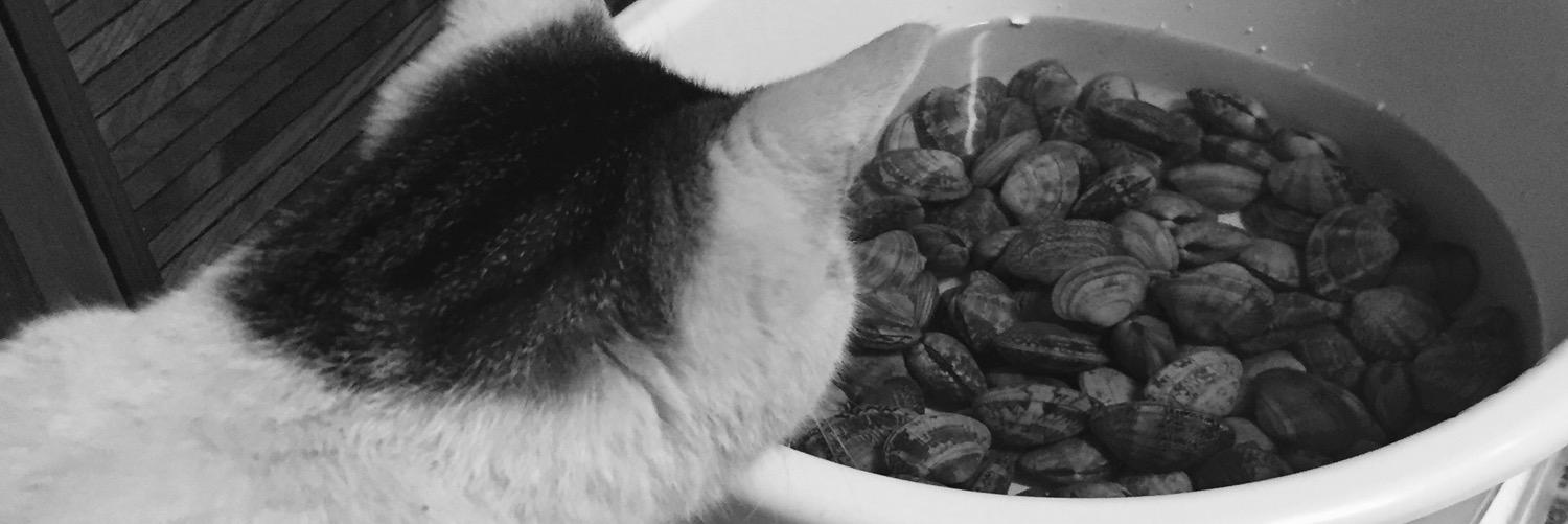 tomocooper131's profile banner image
