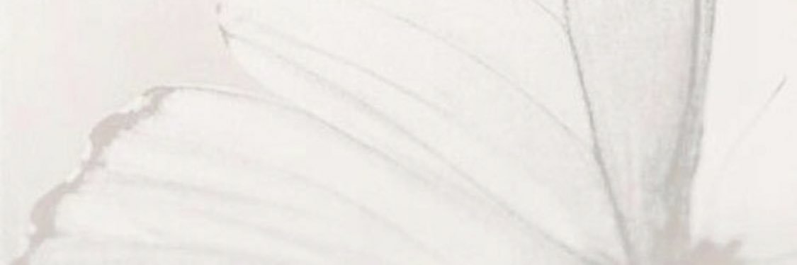 _Maithaaa's profile banner image