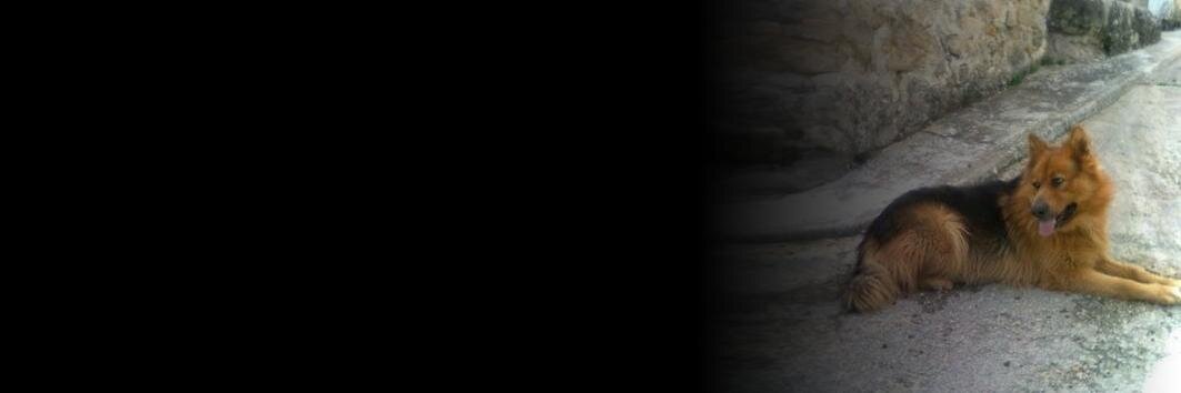 chotagre's profile banner image