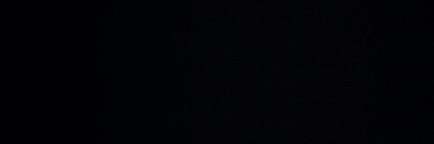 lsantori's profile banner image