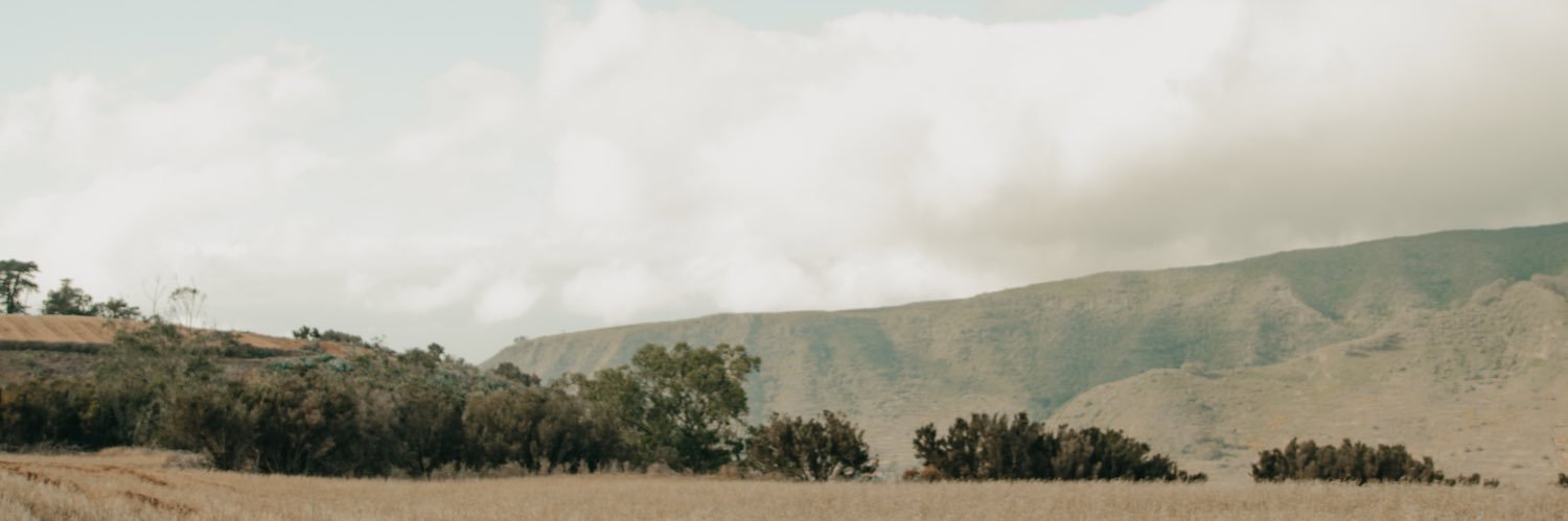 tori ferrer banner