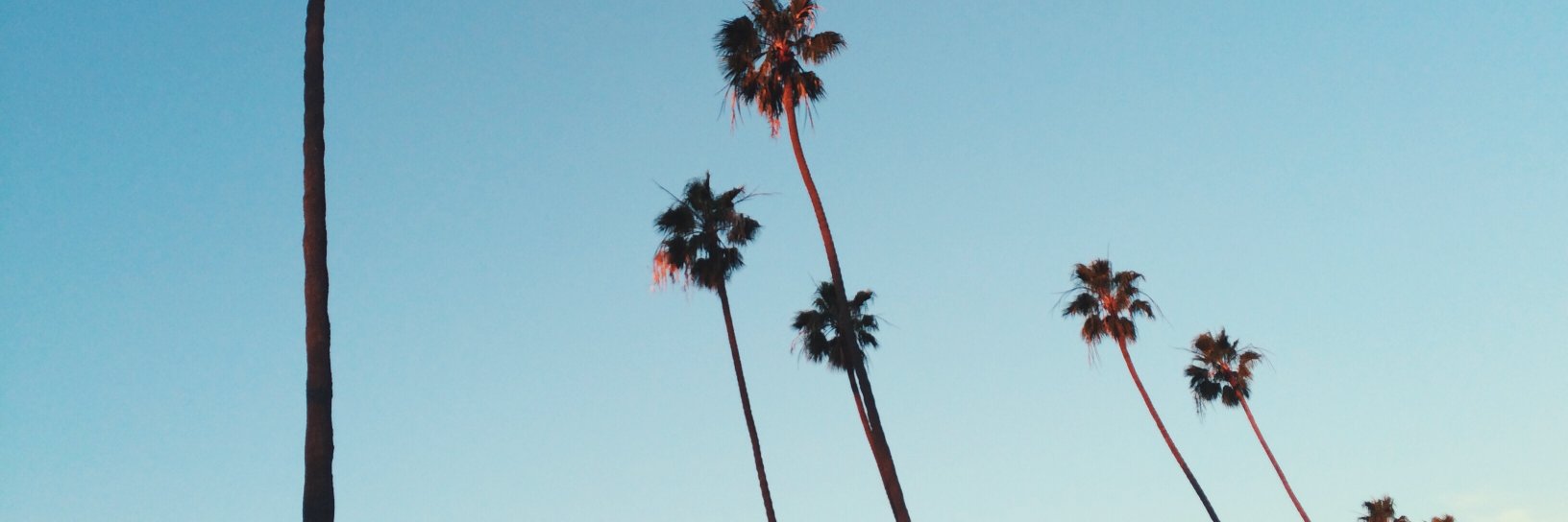 adddriaaa's profile banner image