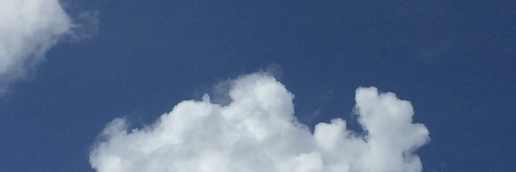 patyeuei's profile banner image