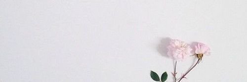 QuirkyVee's profile banner image