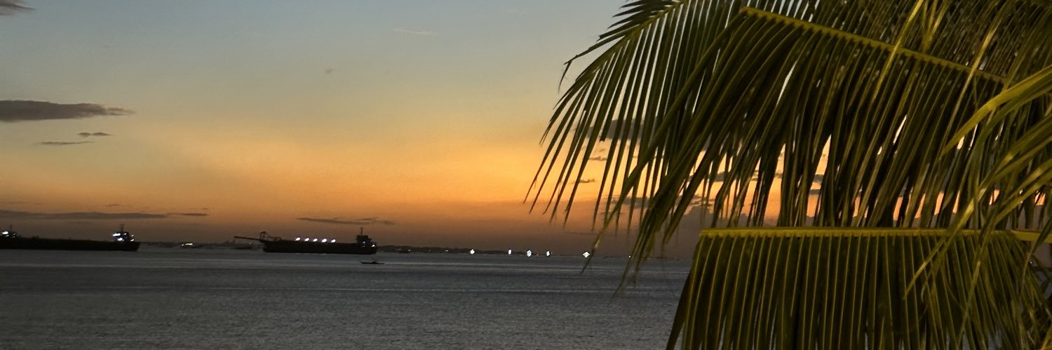 rssnapng's profile banner image