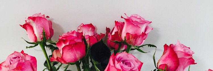 GeorgiaG95's profile banner image