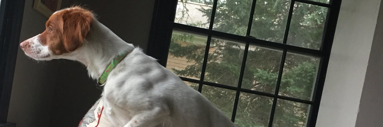 DDamish's profile banner image