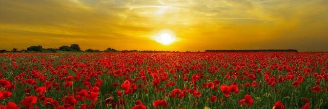 Gasim mohammed ail banner