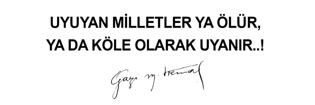 ALİ SAY banner