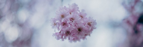 _Remil_ Profile Banner