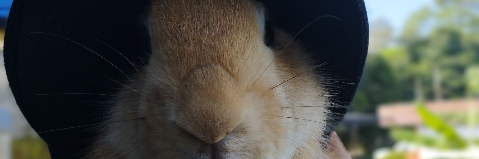 deinersbg's profile banner image