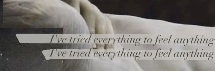 si, occasionally 🪩 ★ banner