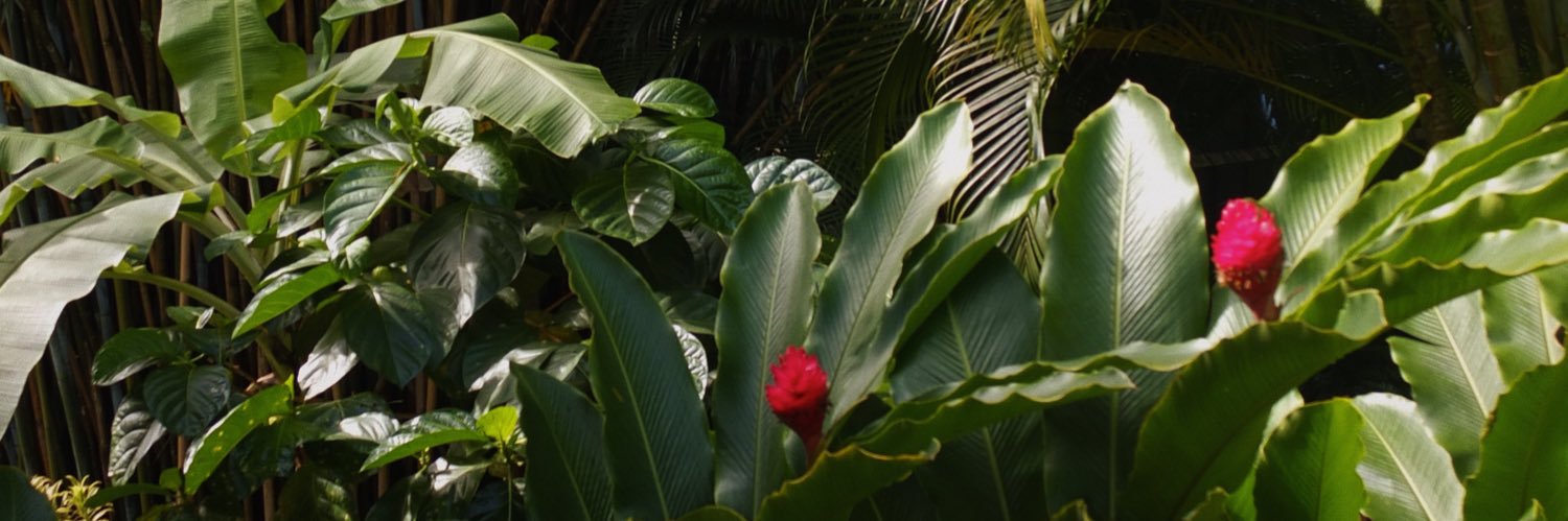 PHMLVS's profile banner image