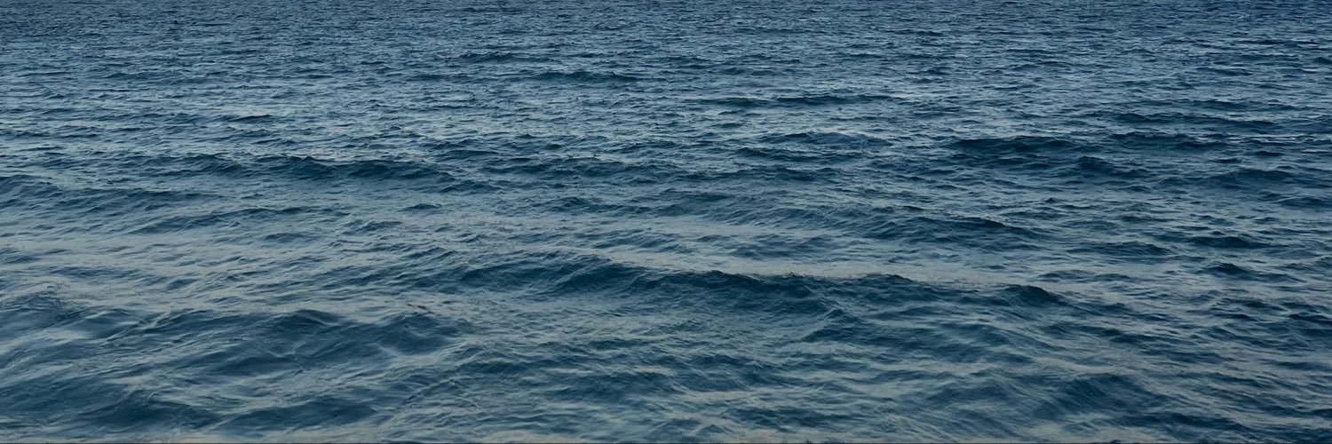 mariafernandslv's profile banner image