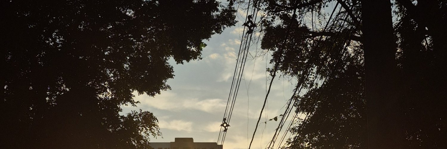 thatypontes's profile banner image