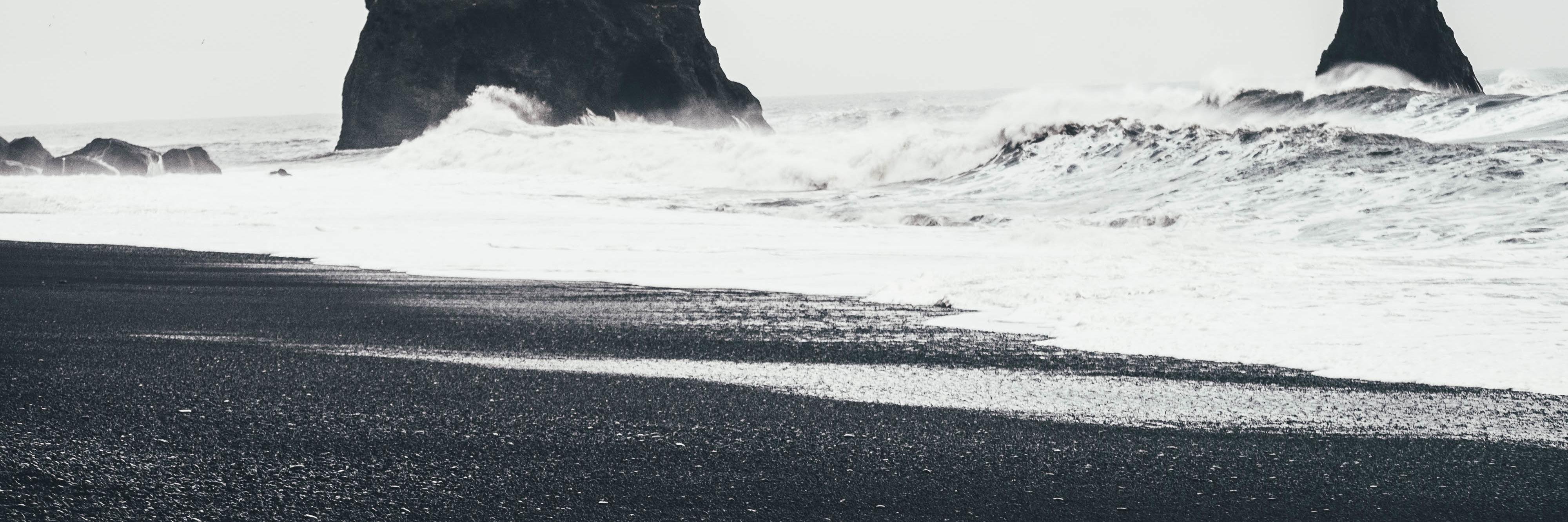 GEORGE REINS banner