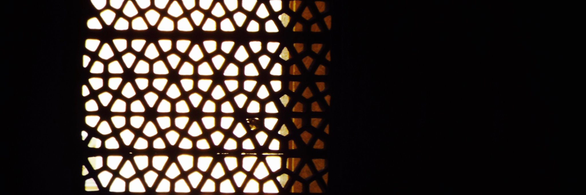 muneezay jaffery banner