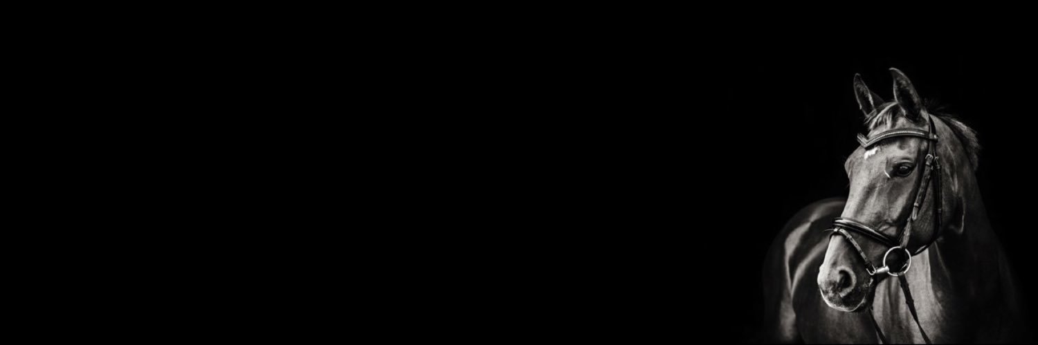 SheheedaMB's profile banner image