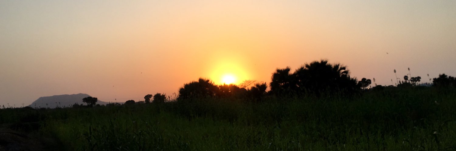 محمد أبوأسامه banner