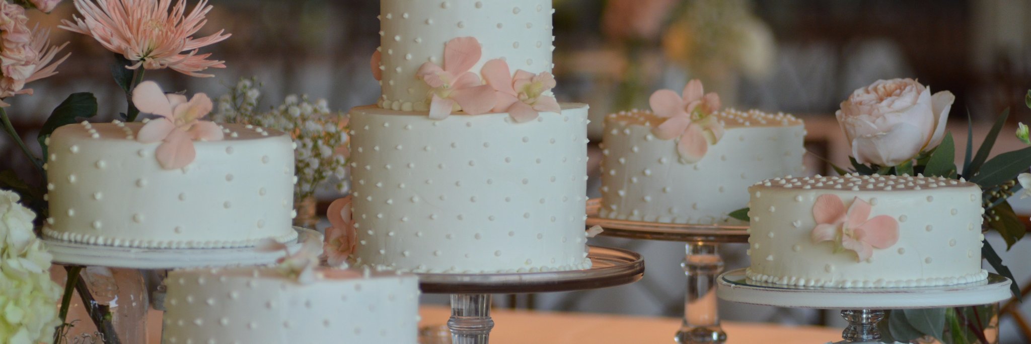 Meringue_Jen's profile banner image