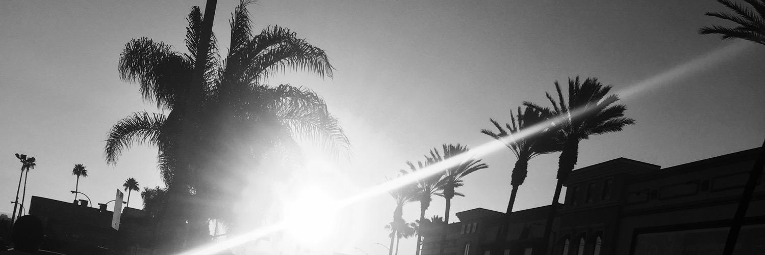 maineshaw's profile banner image