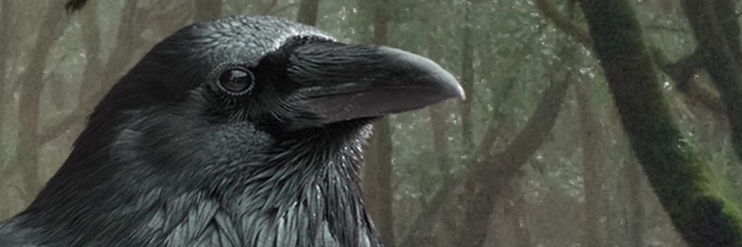 Scott_D_Howard's profile banner image