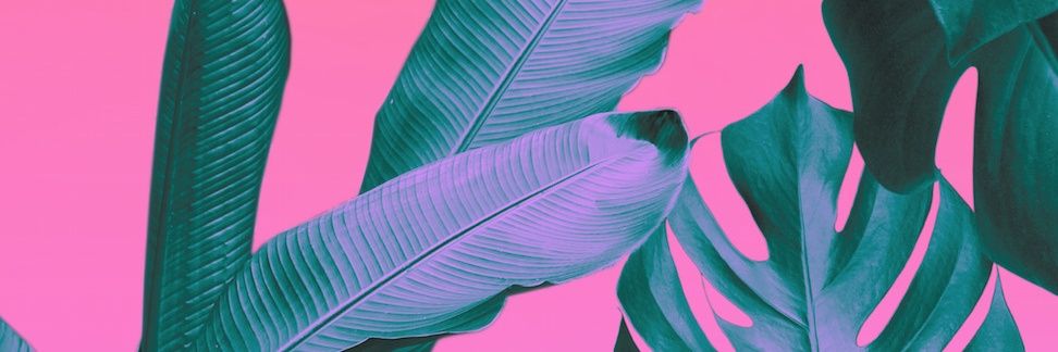 EhlersJacob's profile banner image