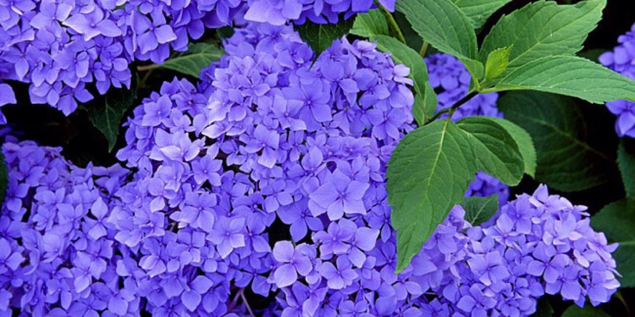nadin773's profile banner image