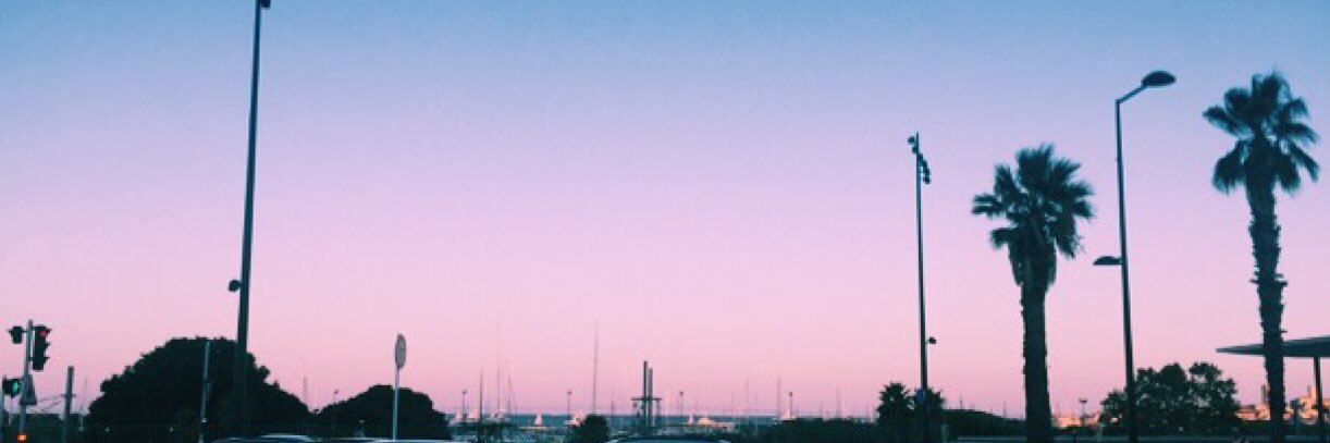 lauren__eng's profile banner image