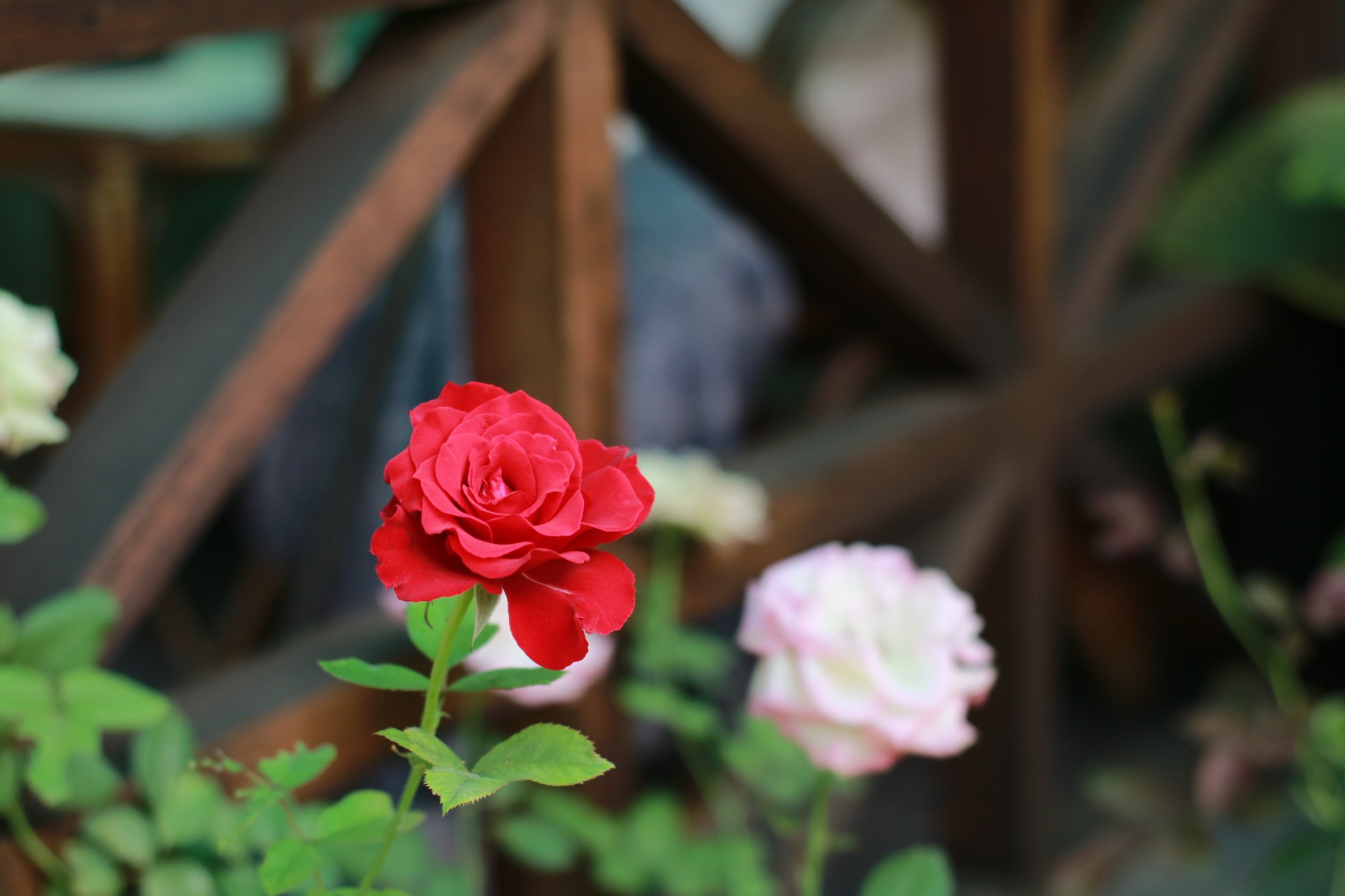 sekar1912's profile banner image