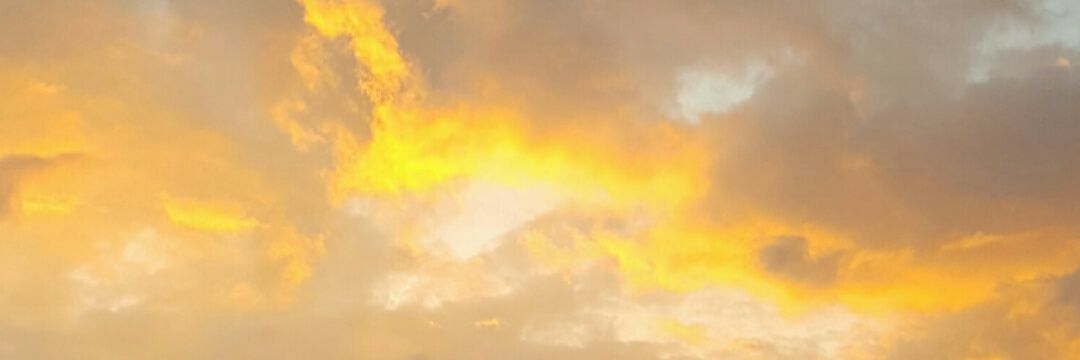 nutrinurse02's profile banner image