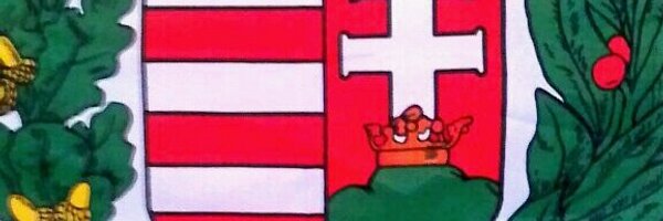 George T.🇭🇺 Profile Banner