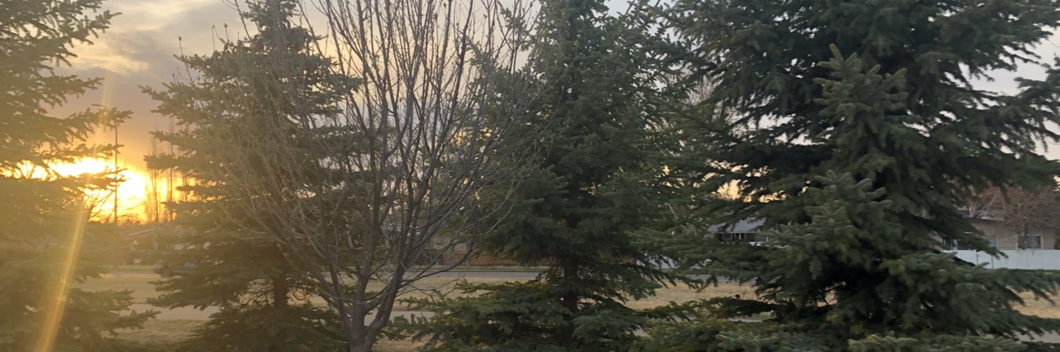 beecuzimirish's profile banner image