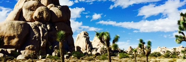 PRMoore1's profile banner image