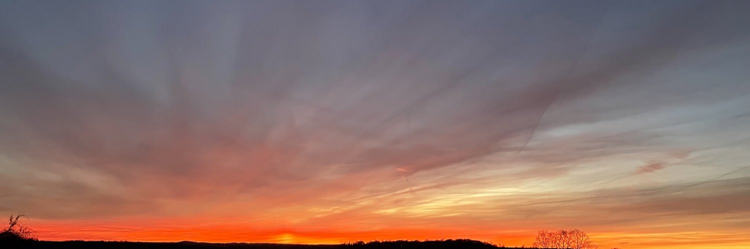 Miss Boissin WP banner