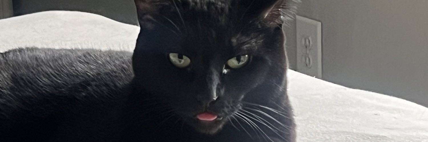 saigelaurel's profile banner image