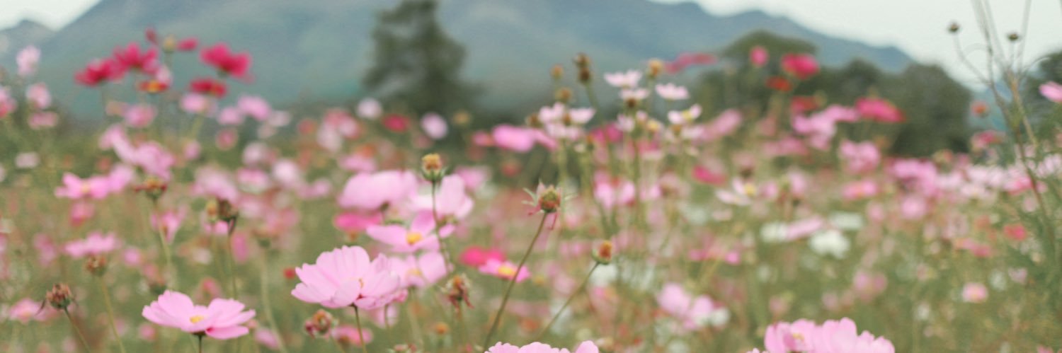 mnr_820's profile banner image