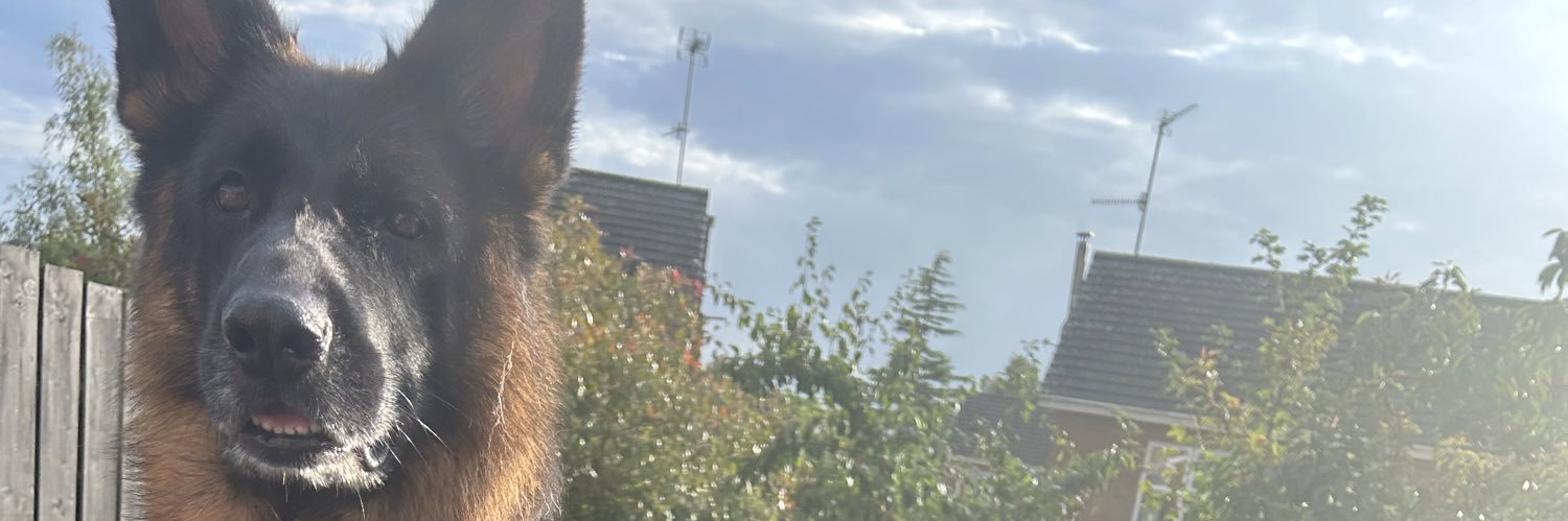 LouPatterson__'s profile banner image