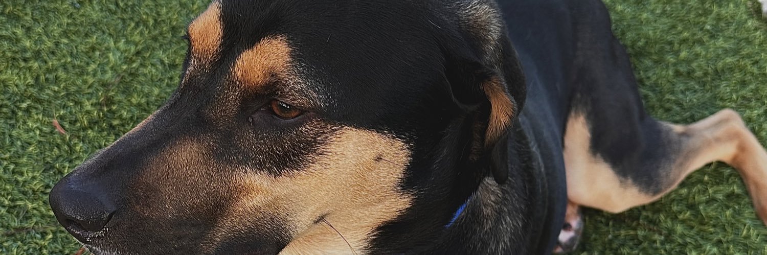 baileyf37's profile banner image