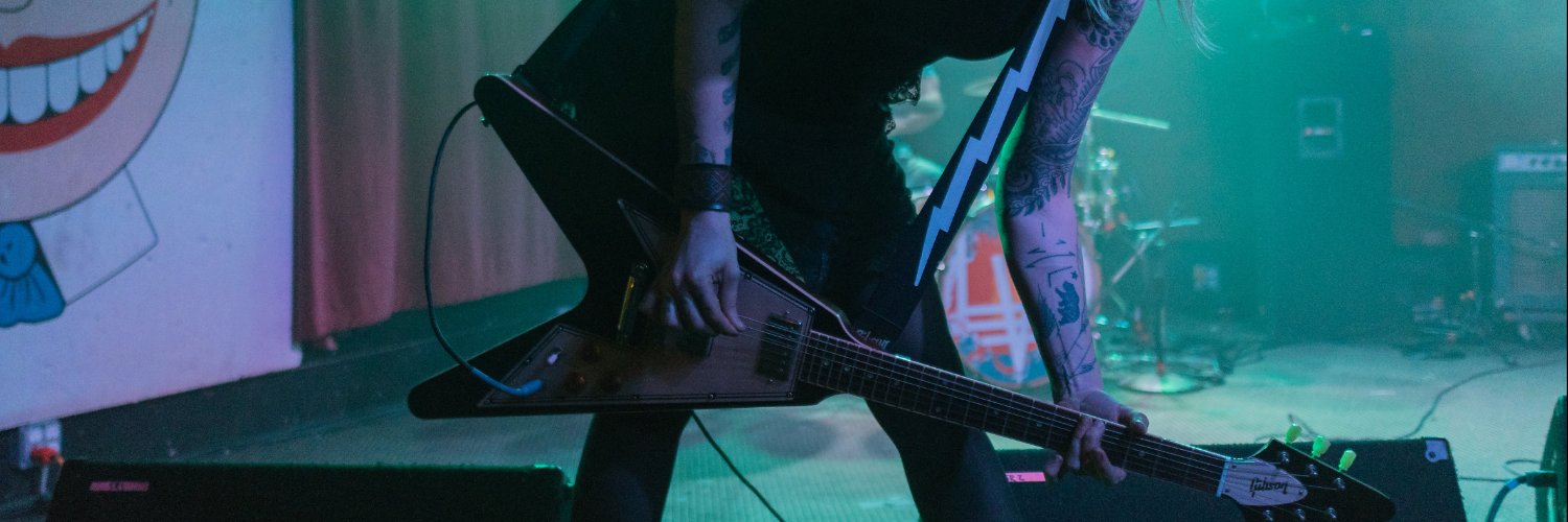 little_vicious's profile banner image