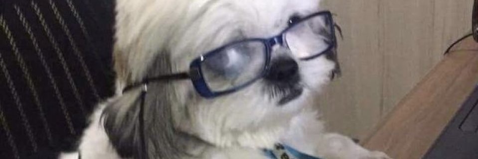 Lipe_Giovanni's profile banner image
