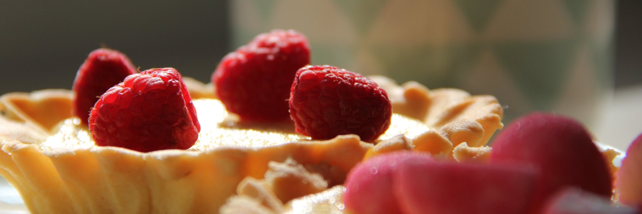 Anne_Laveau banner