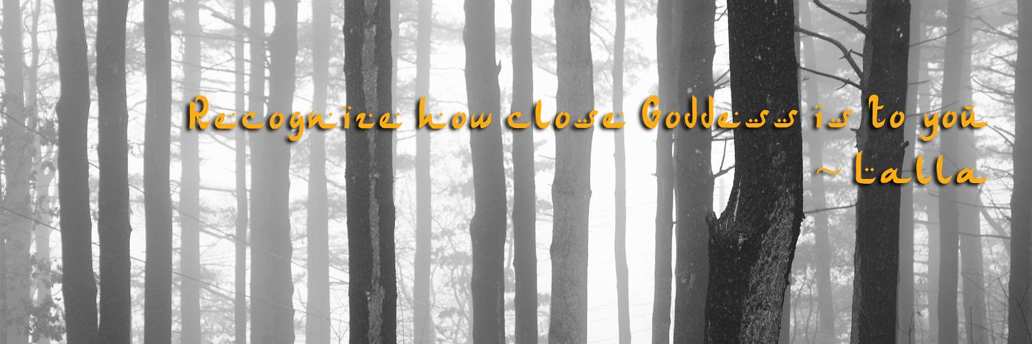 thelallaproject's profile banner image